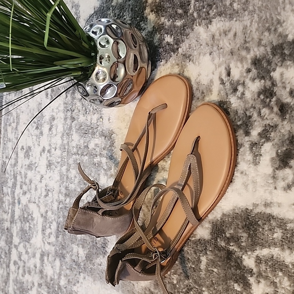 Torrid Gladiator Thong Sandal